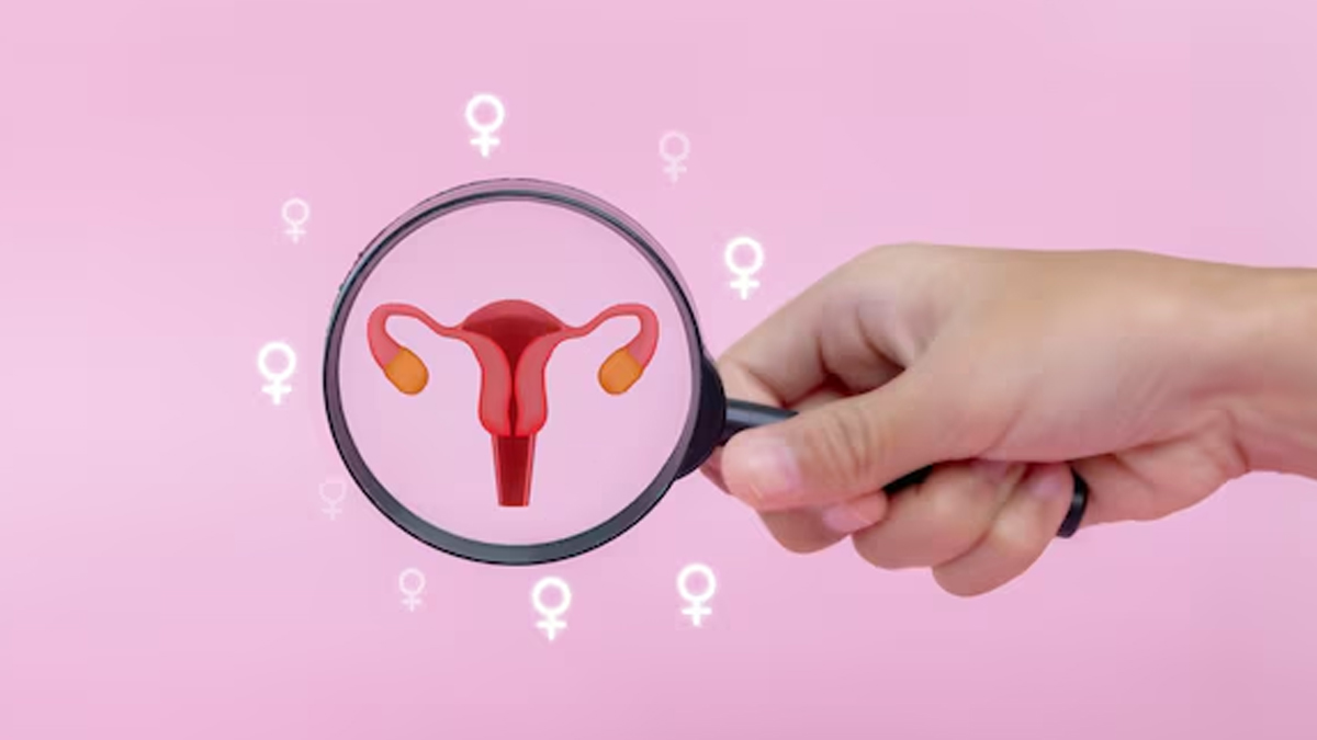 How to support your body during ovulation