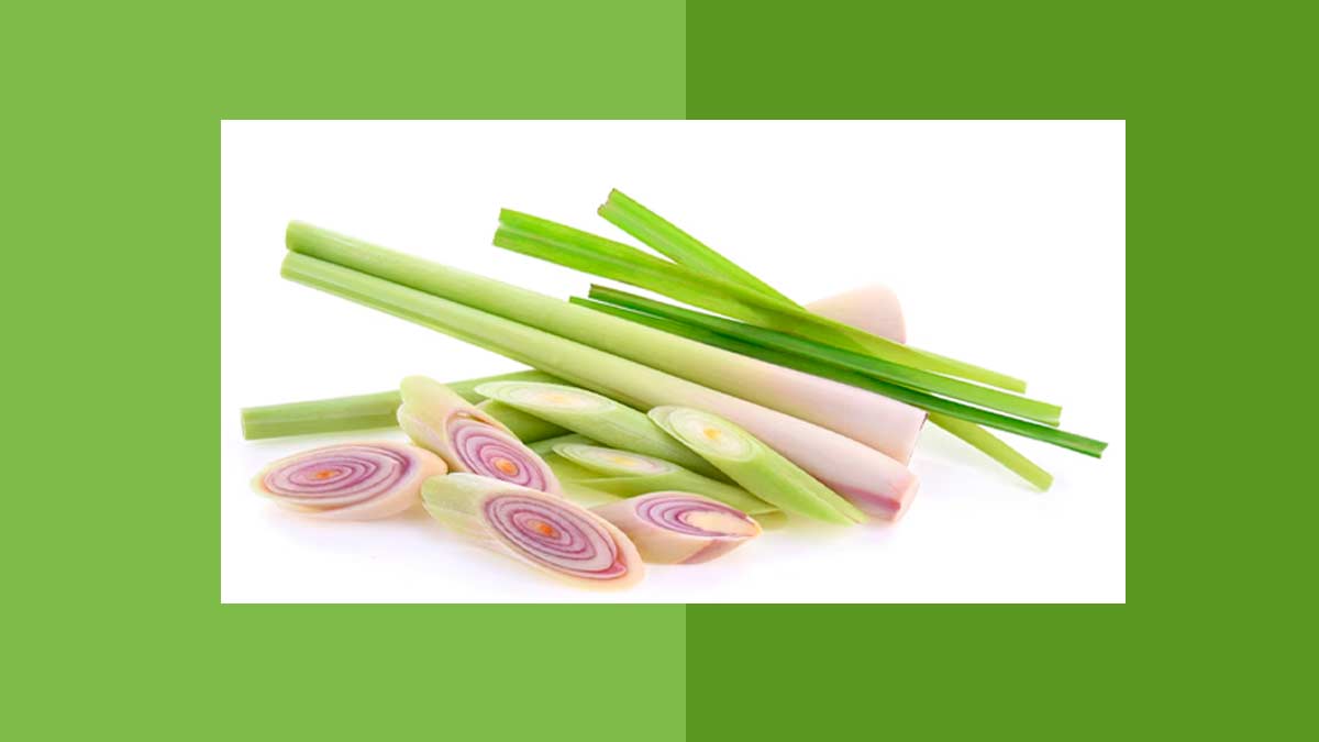 is lemongrass safe during pregnancy 02 (2)