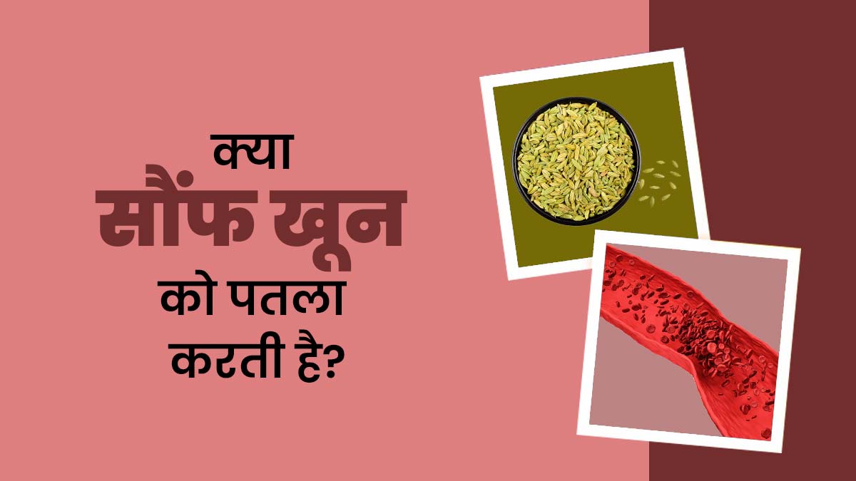 क्या सौंफ खून पतला करती है? जानें आयुर्वेदिक डॉक्टर से