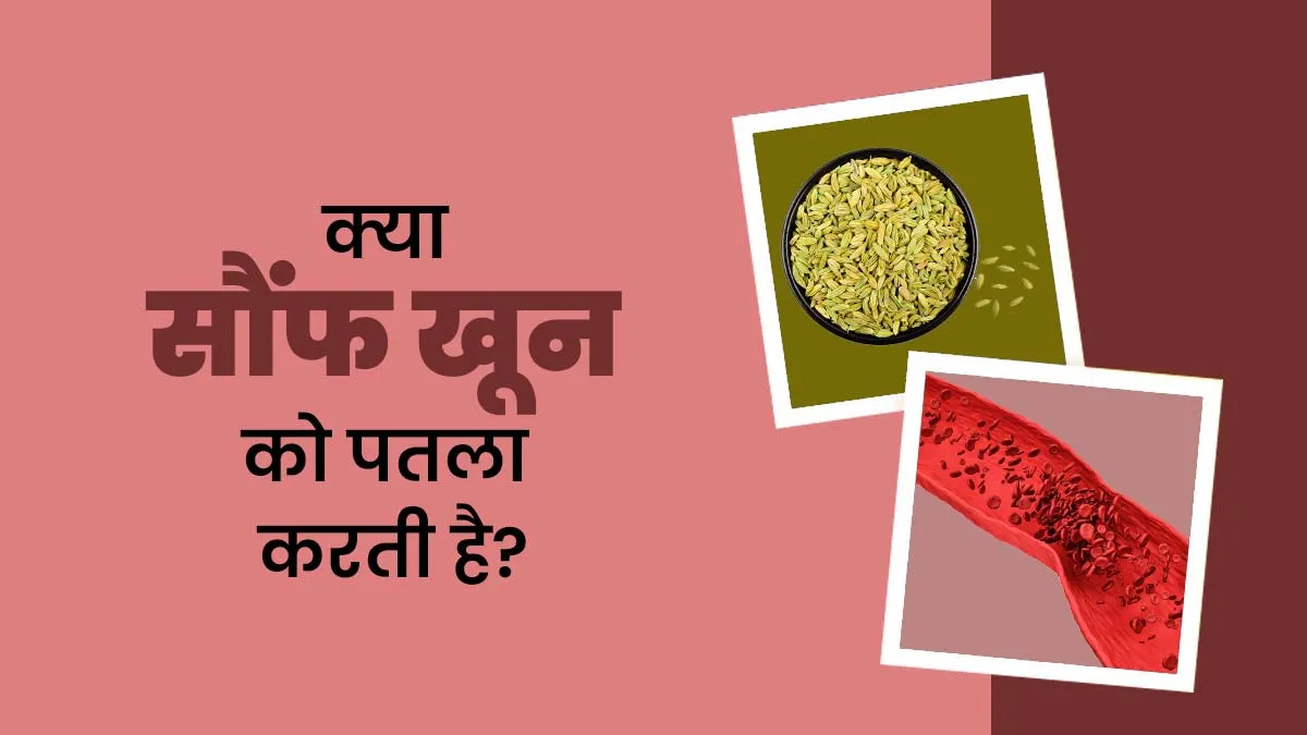 क्या सौंफ खून पतला करती है? जानें आयुर्वेदिक डॉक्टर से