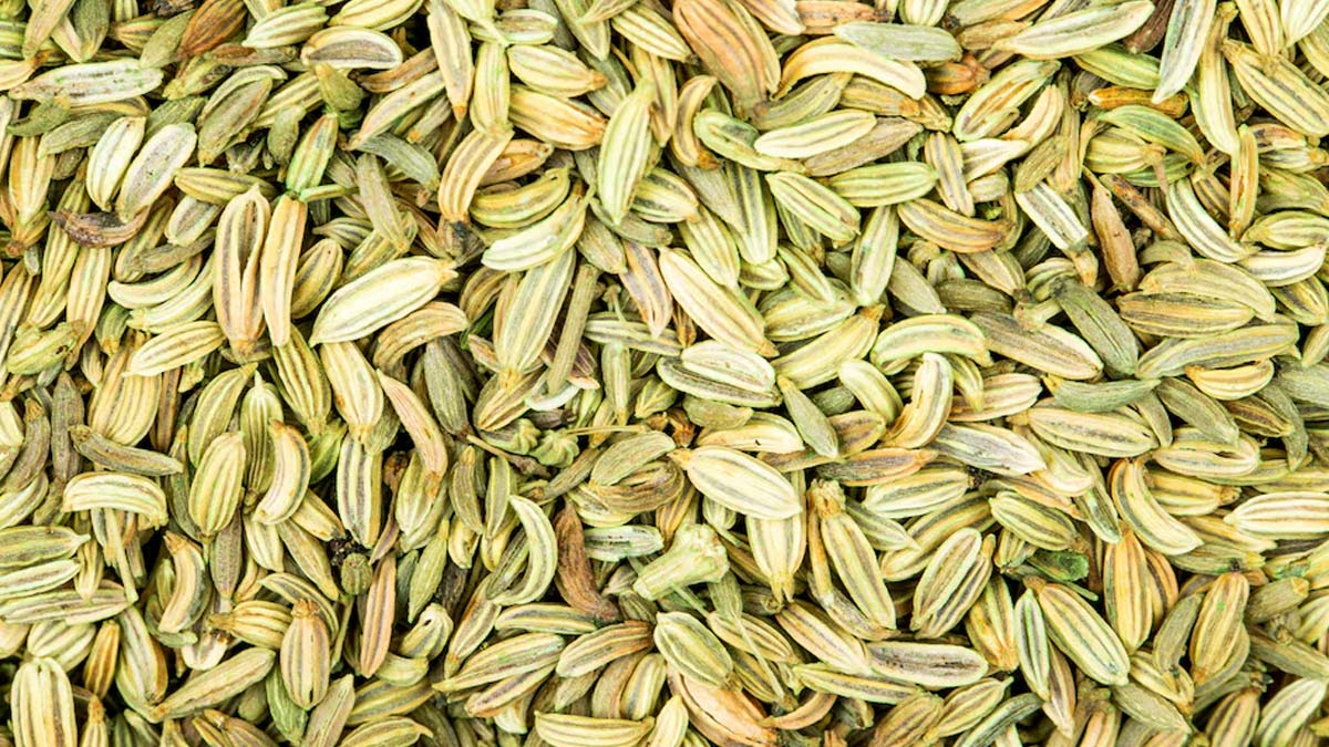 Is Fennel A Blood Thinner In Hindi 01 (3)