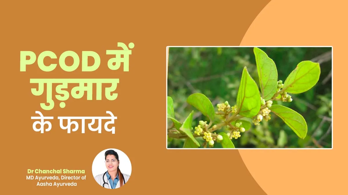 पीसीओडी की समस्या को कम कर सकता है गुड़मार, ऐसे करें सेवन