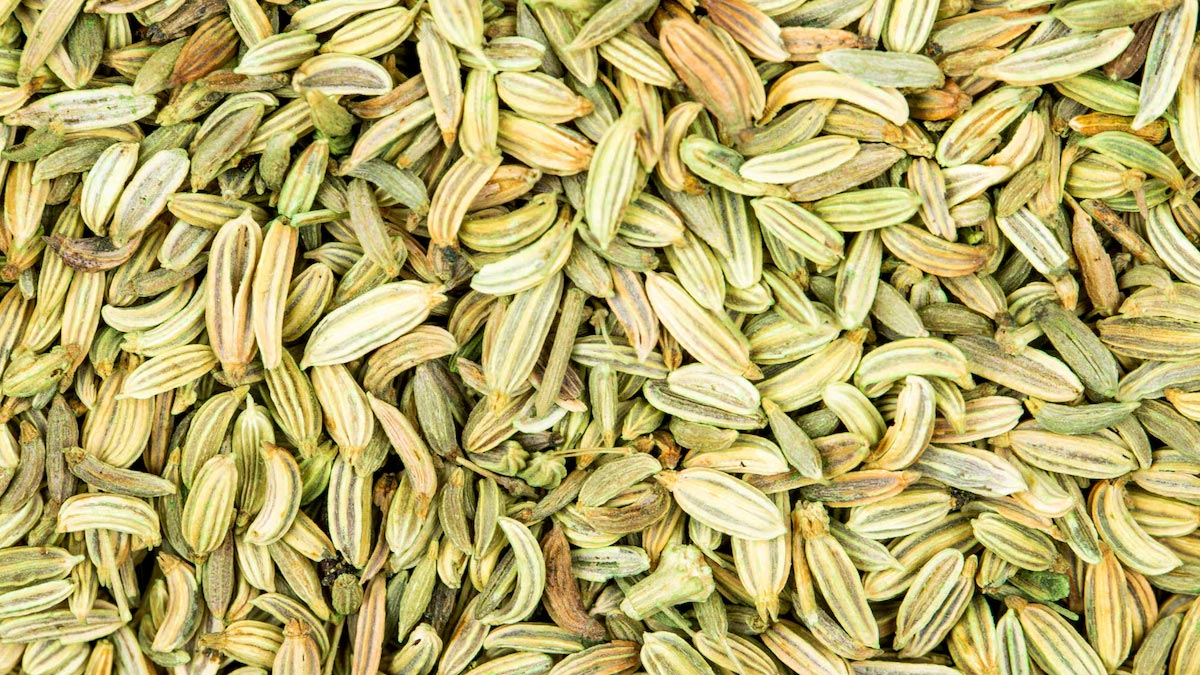 is fennel good for uric acid in hindi01 (3)