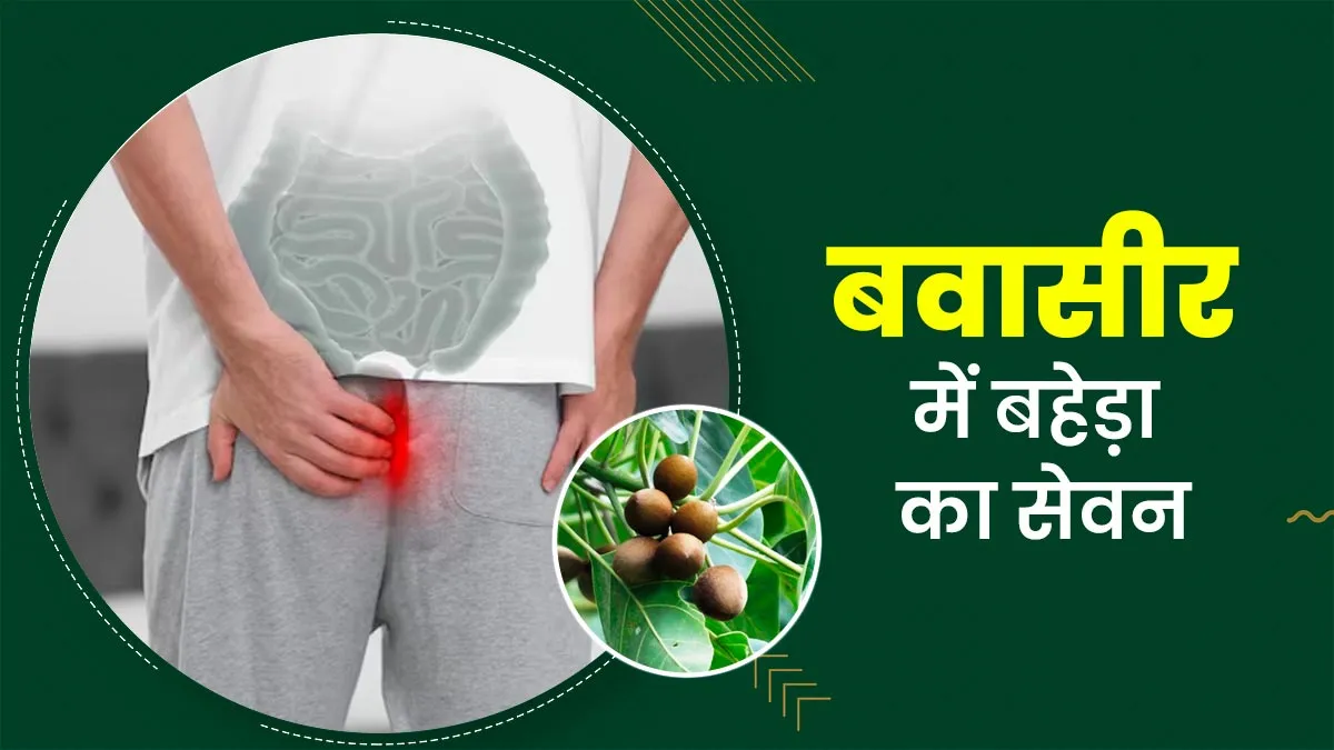 बवासीर में फायदेमंद है बहेड़ा? एक्सपर्ट से जानें सेवन का सही तरीका