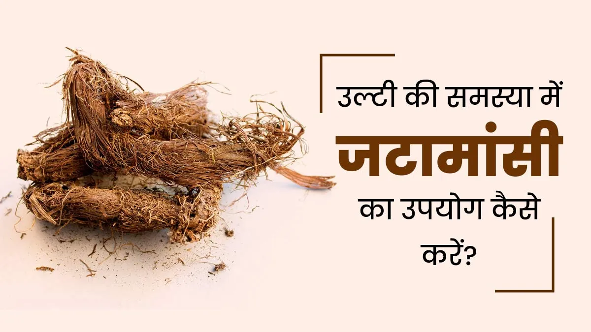 उल्टी की समस्या में जटामांसी कैसे करें इस्तेमाल? आयुर्वेदाचार्य से जानें