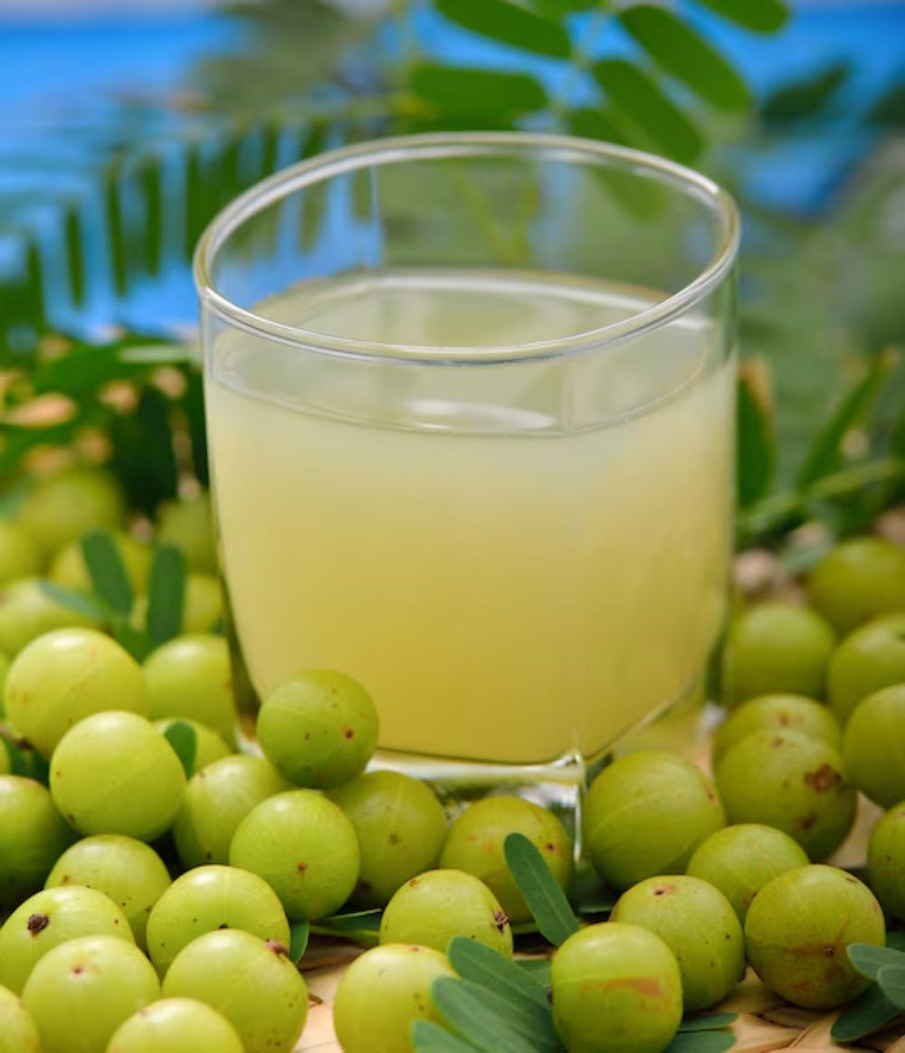 Moringa Amla Juice benefits