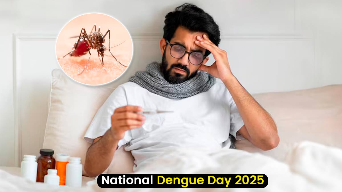 National Dengue Day 2025: क्यों मनाया जाता है राष्ट्रीय डेंगू दिवस? जानें इस साल की थीम, महत्व और इतिहास