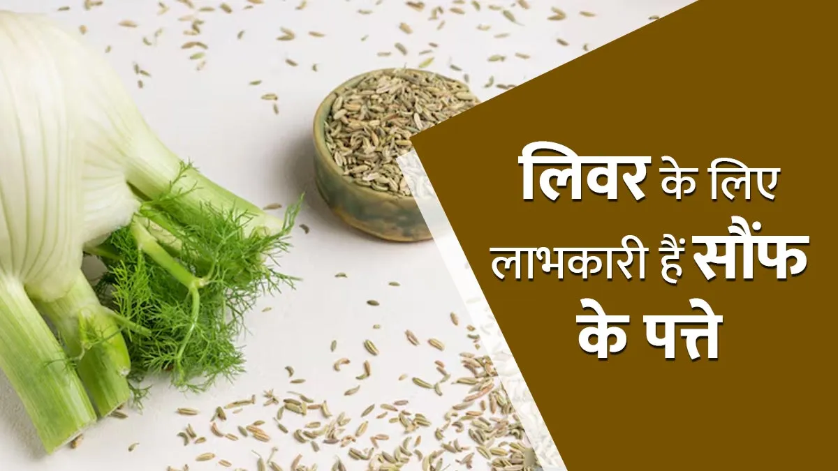 लिवर को डिटॉक्स करते हैं सौंफ के पत्ते, आयुर्वेदाचार्य से जानें फायदे और उपयोग