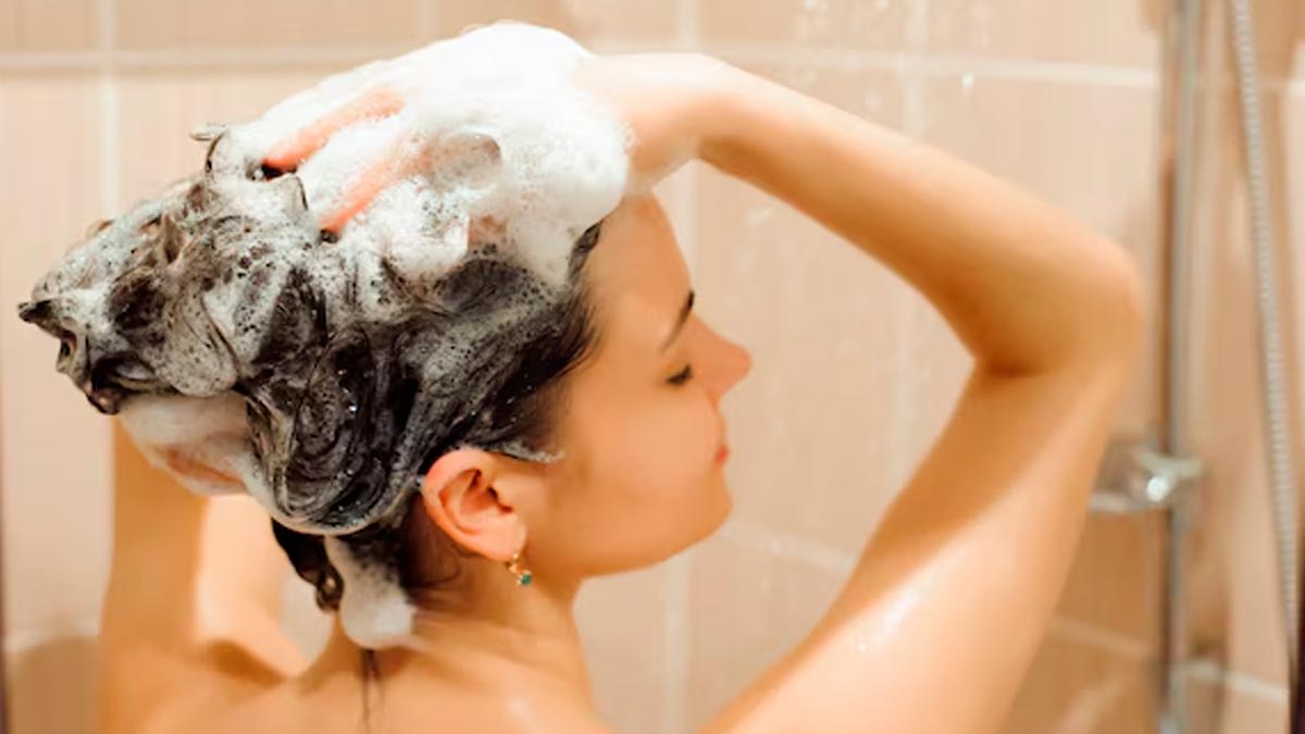 01 - 2025-05-15T135405.952