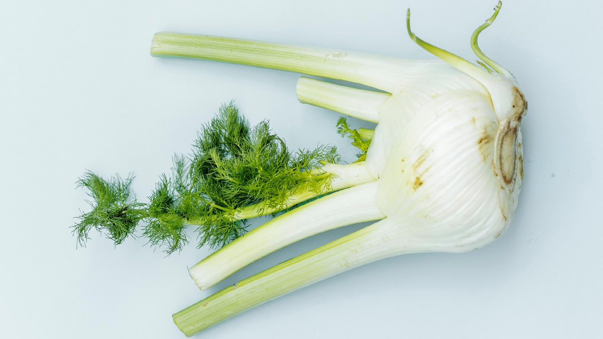Fennel Leaves Benefits For Liver