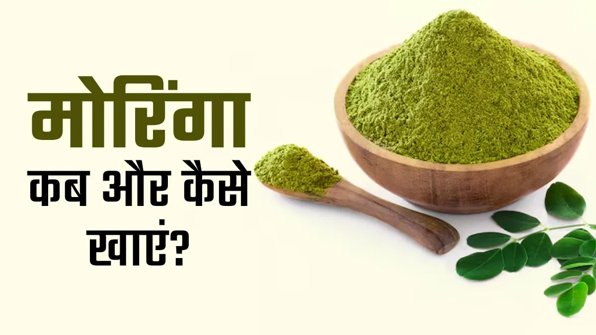 मोरिंगा का सेवन कब और कैसे करना चाहिए? जानें आयुर्वेदाचार्य से
