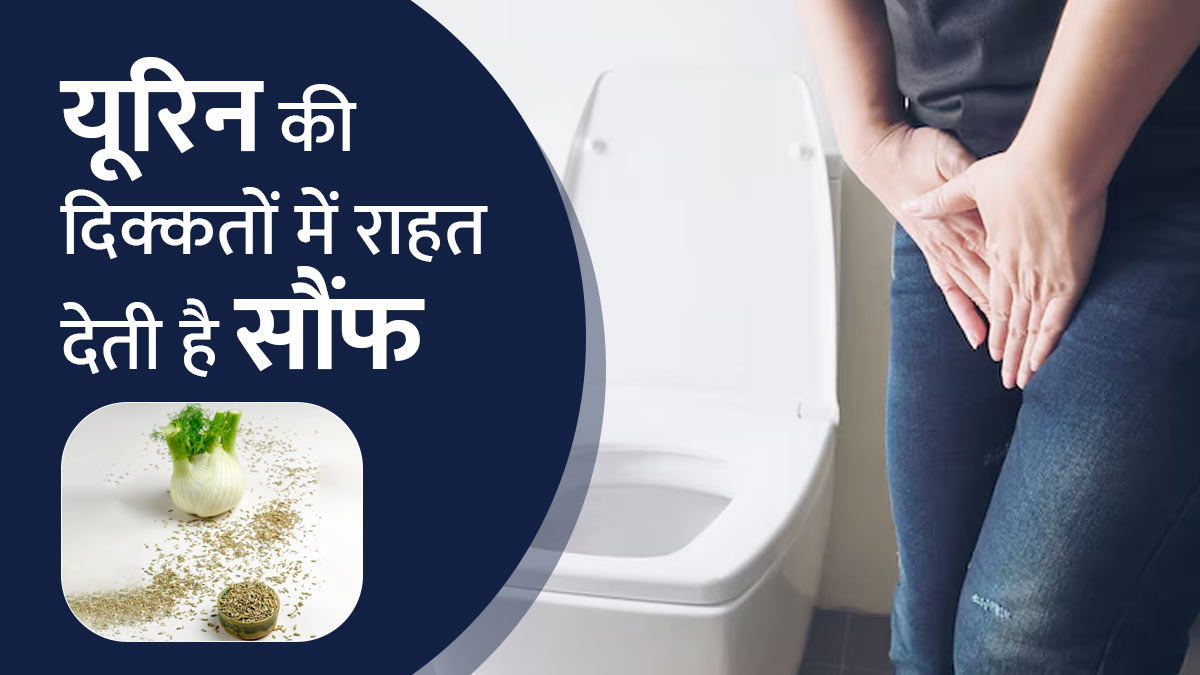 यूरिन की दिक्कतों में राहत देती है सौंफ, जानें फायदे और सेवन का तरीका