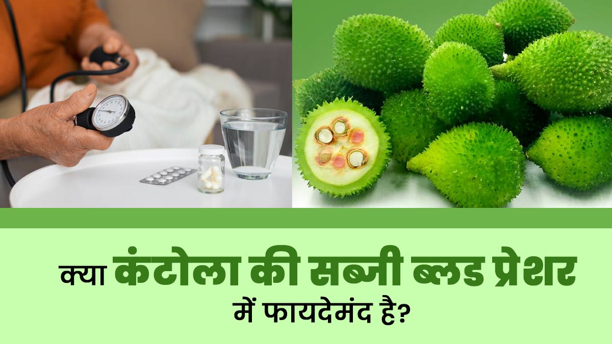 हाई ब्लड प्रेशर के मरीजों को क्यों खानी चाहिए कंटोला की सब्जी? एक्सपर्ट से जानें
