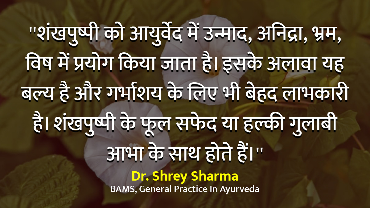 Shankhpushpi ke fayde