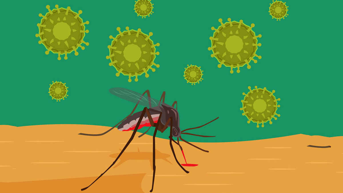 year-ender-2024-most-dangerous-diseases-spreads-this-year-inside