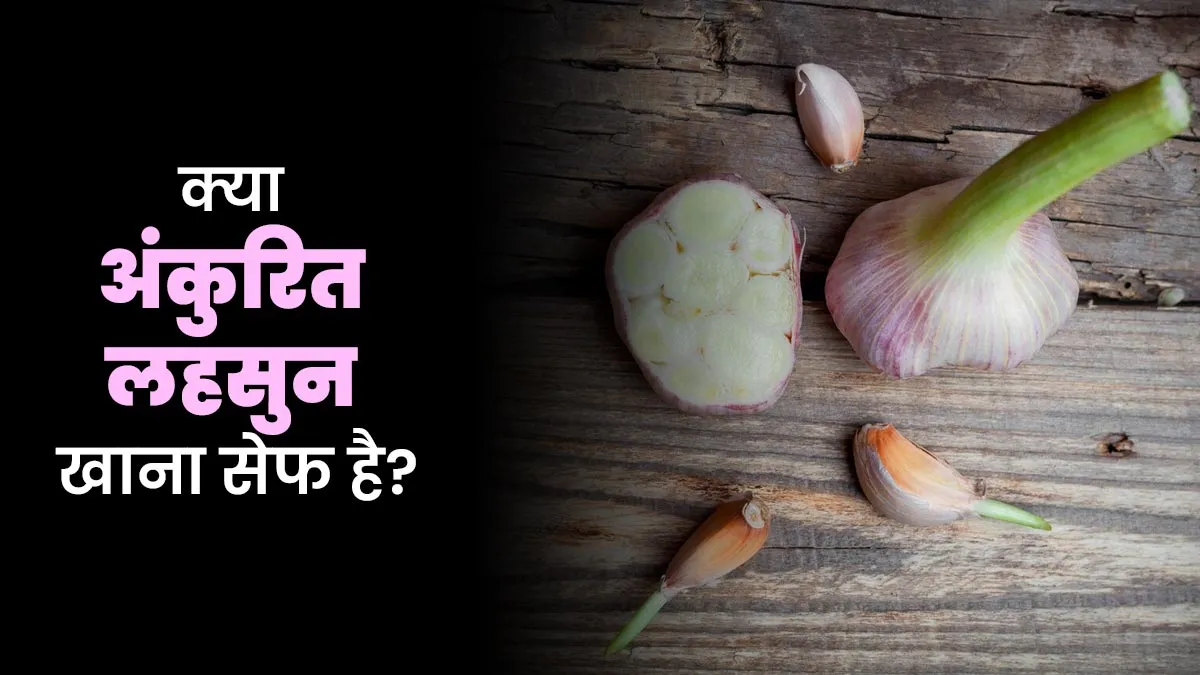 अंकुरित लहसुन खाना सही है या गलत? जानें इसके फायदे और जोखिम