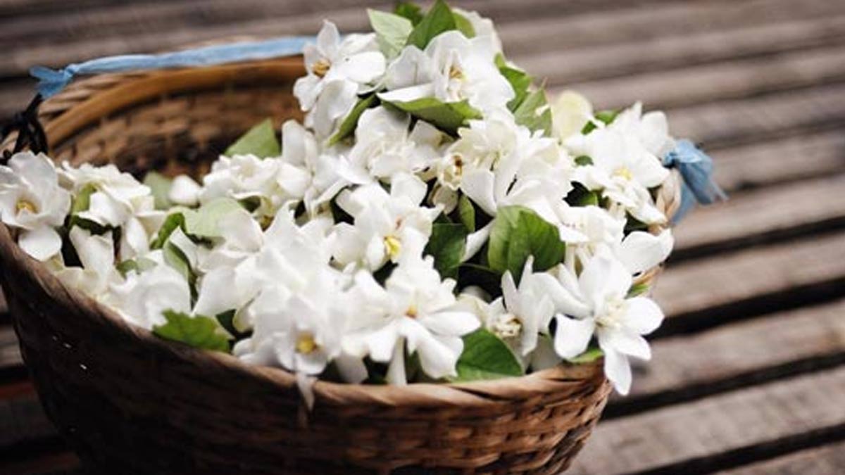 01 - 2025-05-18T071542.708