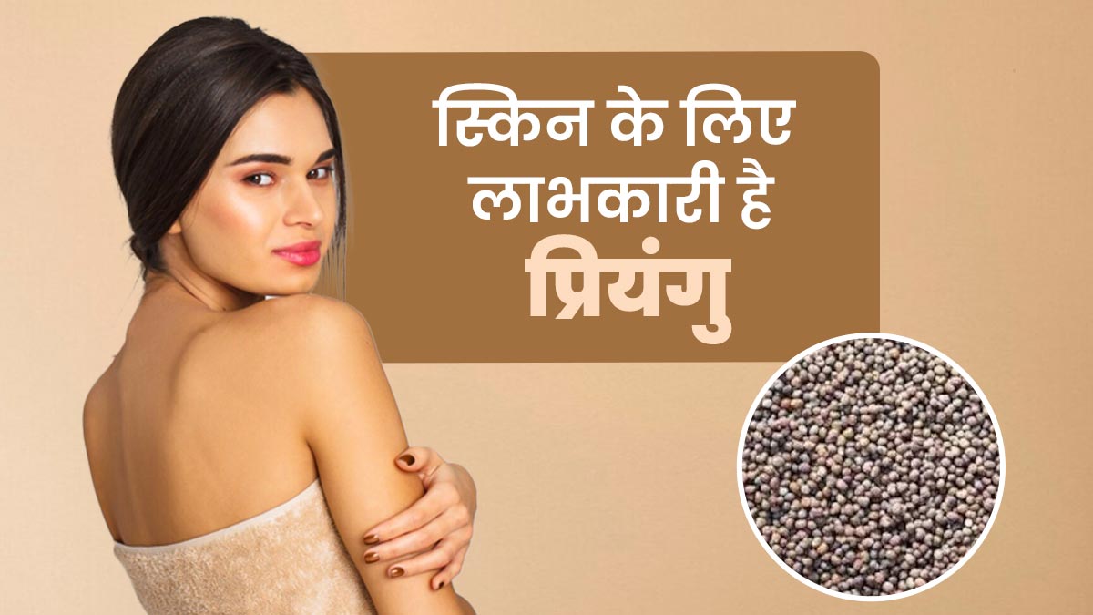 स्किन के लिए लाभकारी है प्रियंगु, जानें फायदे और उपयोग के तरीके
