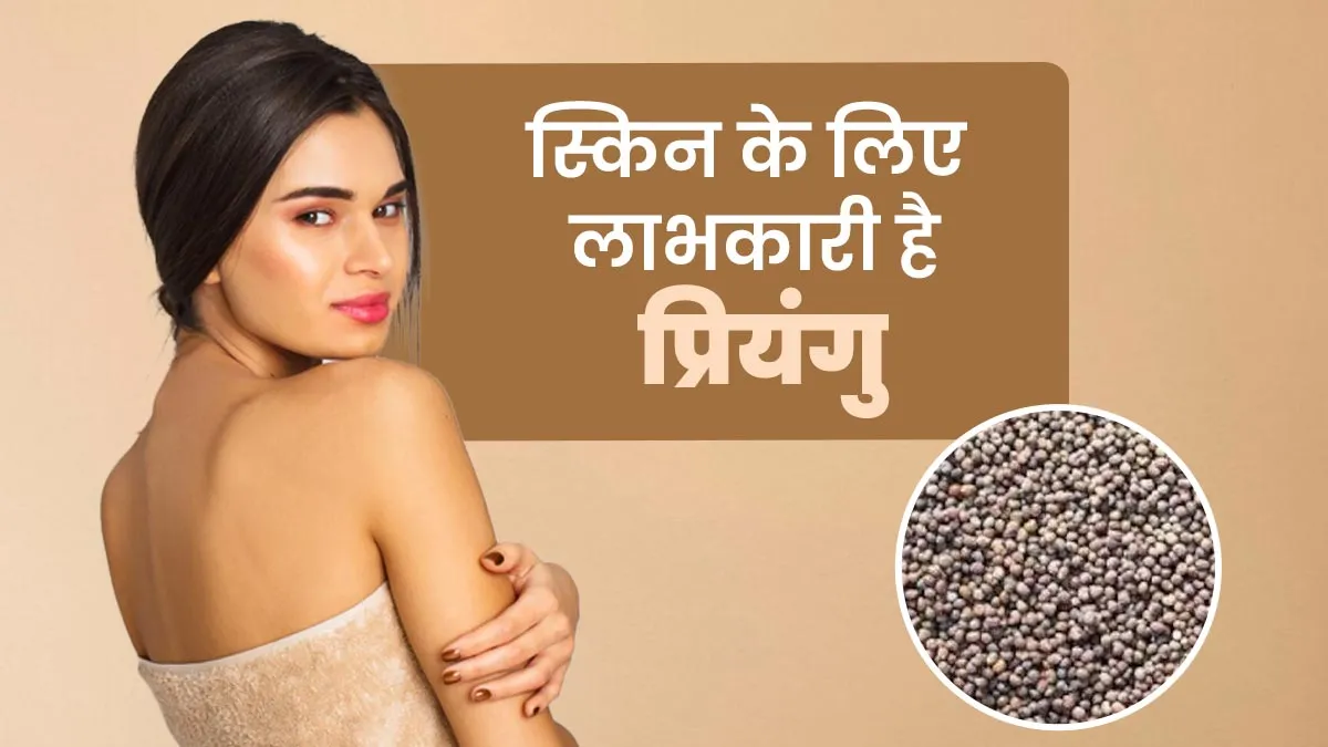 स्किन के लिए लाभकारी है प्रियंगु, जानें फायदे और उपयोग के तरीके