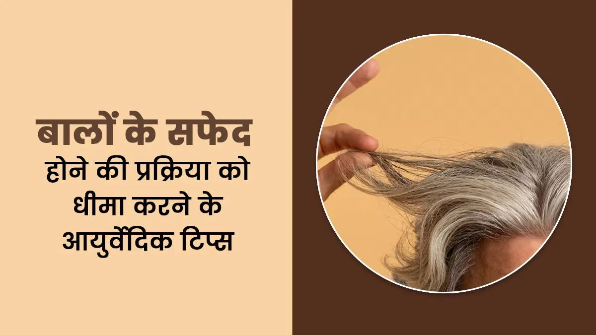 बालों के सफेद होने की प्रक्रिया को धीमा करेंगे ये 4 आयुर्वेदिक टिप्स , जानें कैसे