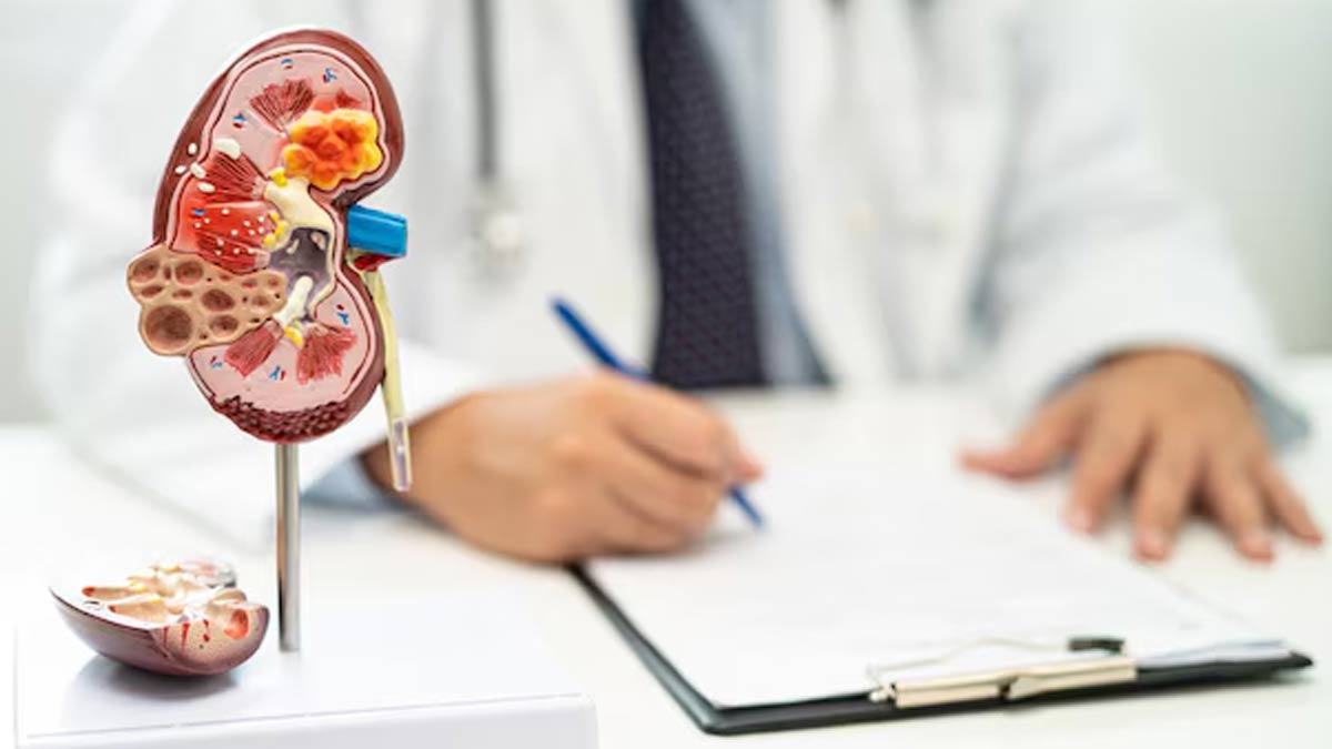 Stages Of Chronic Kidney Disease