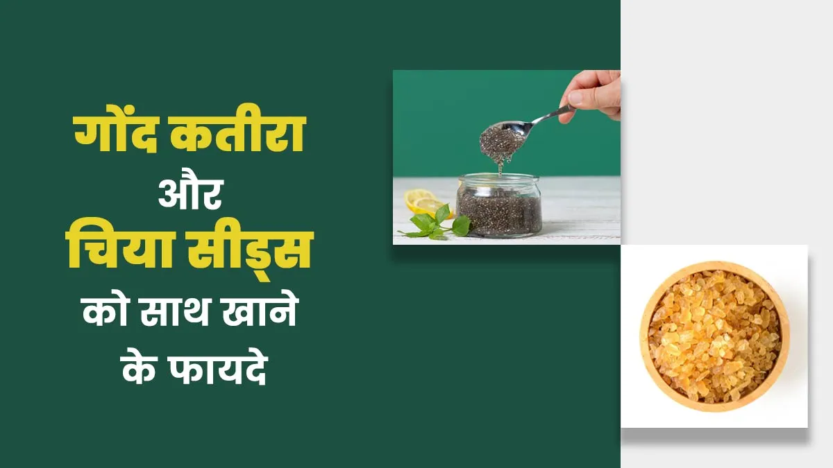 गोंद कतीरा और चिया सीड्स को साथ खाने के फायदे, डाइटिशियन से जानें