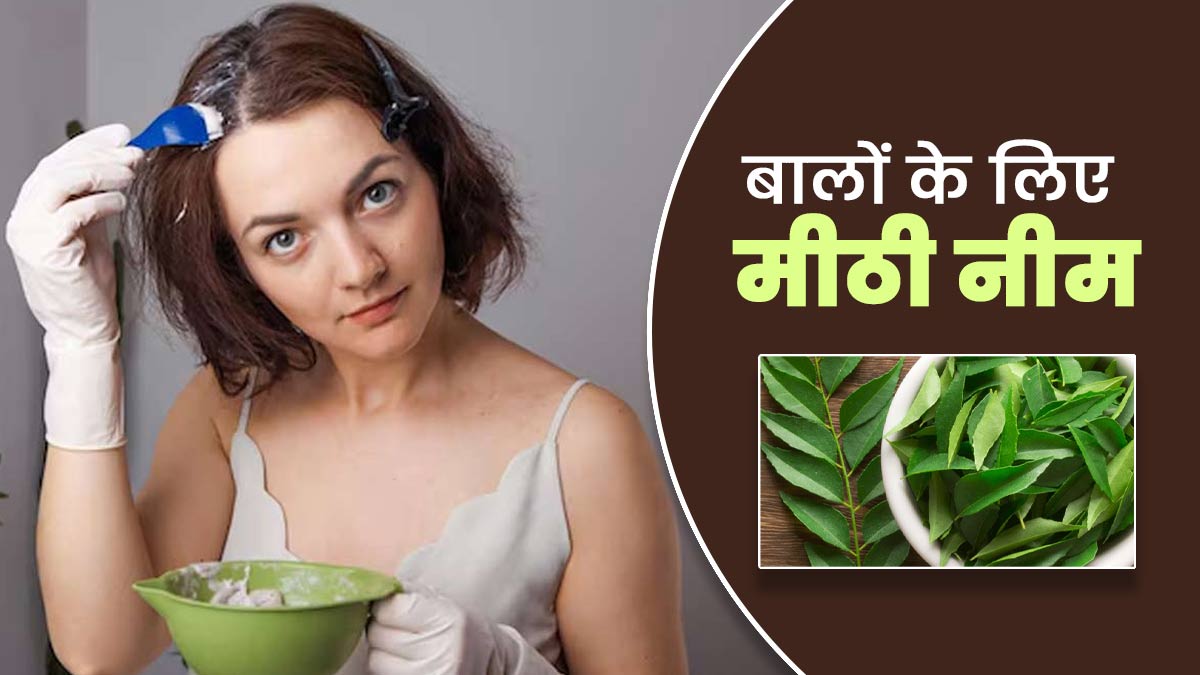 बालों के लिए फायदेमंद है मीठी नीम, खुद एक्सपर्ट ने बताया उपयोग का तरीका