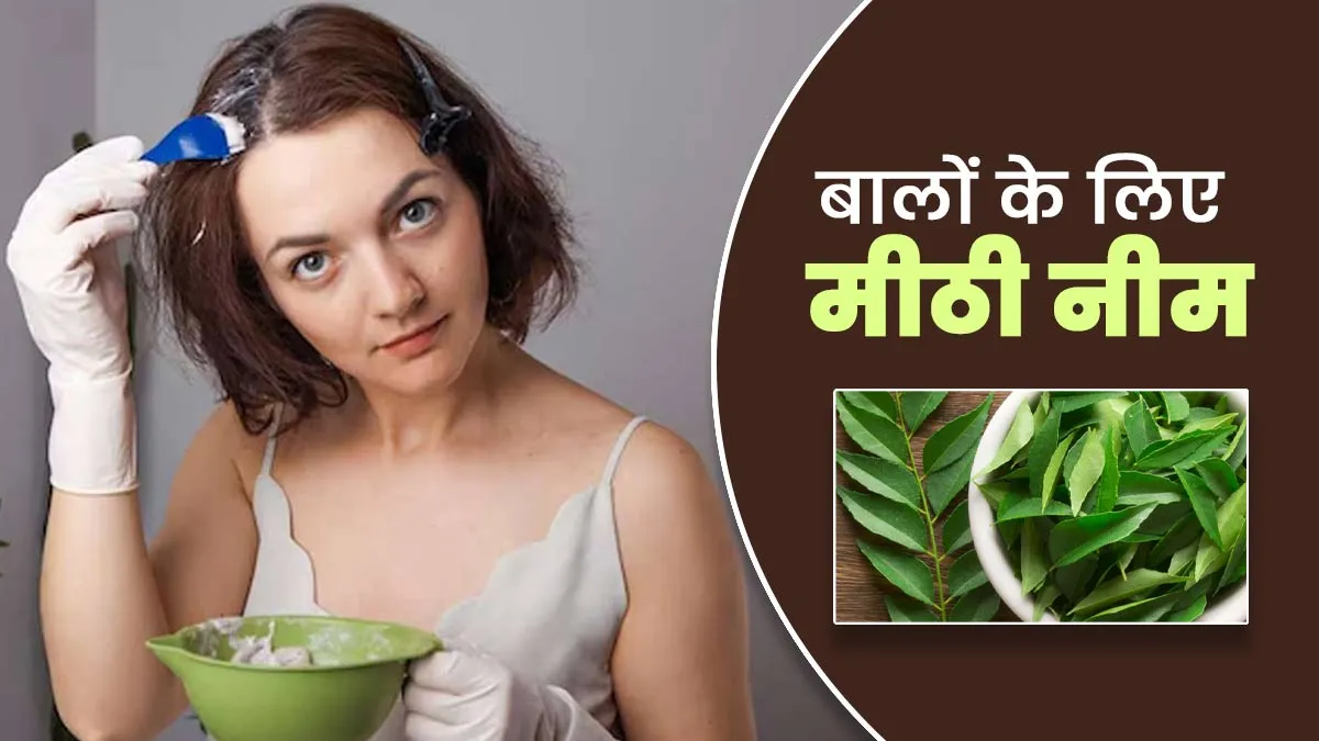 बालों के लिए फायदेमंद है मीठी नीम, खुद एक्सपर्ट ने बताया उपयोग का तरीका