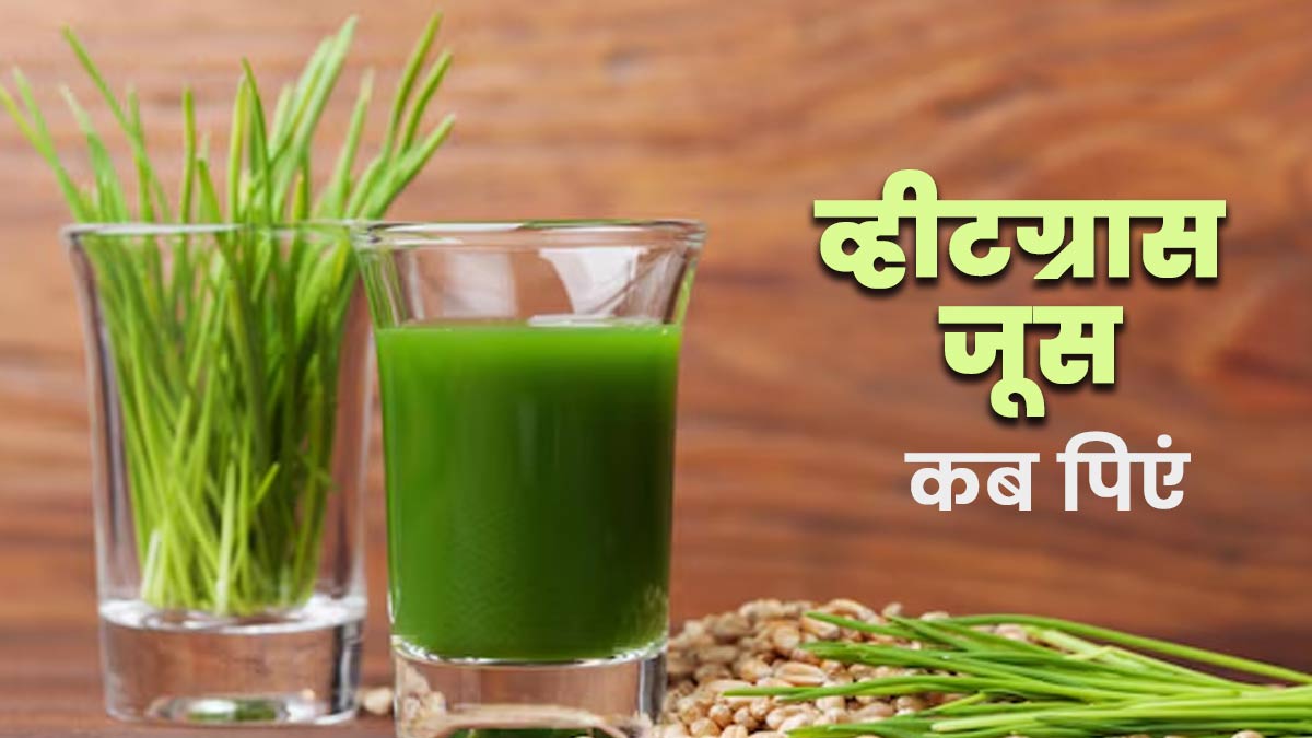 व्हीटग्रास जूस कब पीना चाहिए? एक्सपर्ट से जानें सही समय और तरीका