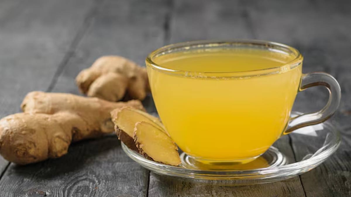 benefits of drinking fennel and ginger water in hindi 01 (3)