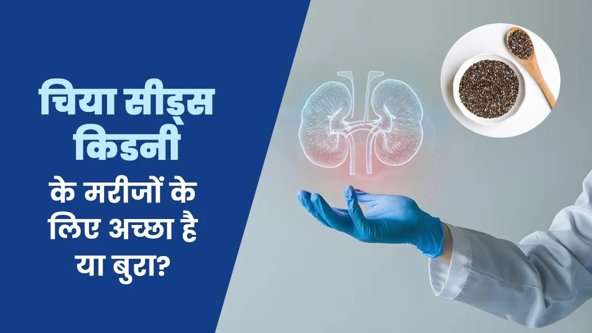 चिया सीड्स किडनी के मरीजों के लिए अच्छा है या बुरा? डॉक्टर से जानें