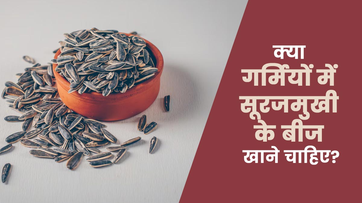 क्या गर्मियों में सूरजमुखी के बीज खाने चाहिए? जानें एक्सपर्ट से