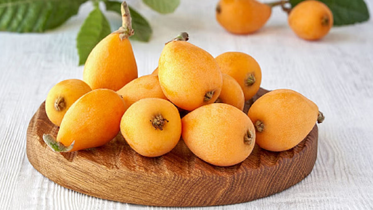 प्रेग्नेंसी में लोकाट का सेवन खाने के फायदे - Health Benefits of Loquats in Pregnancy loquat-fruit-inside
