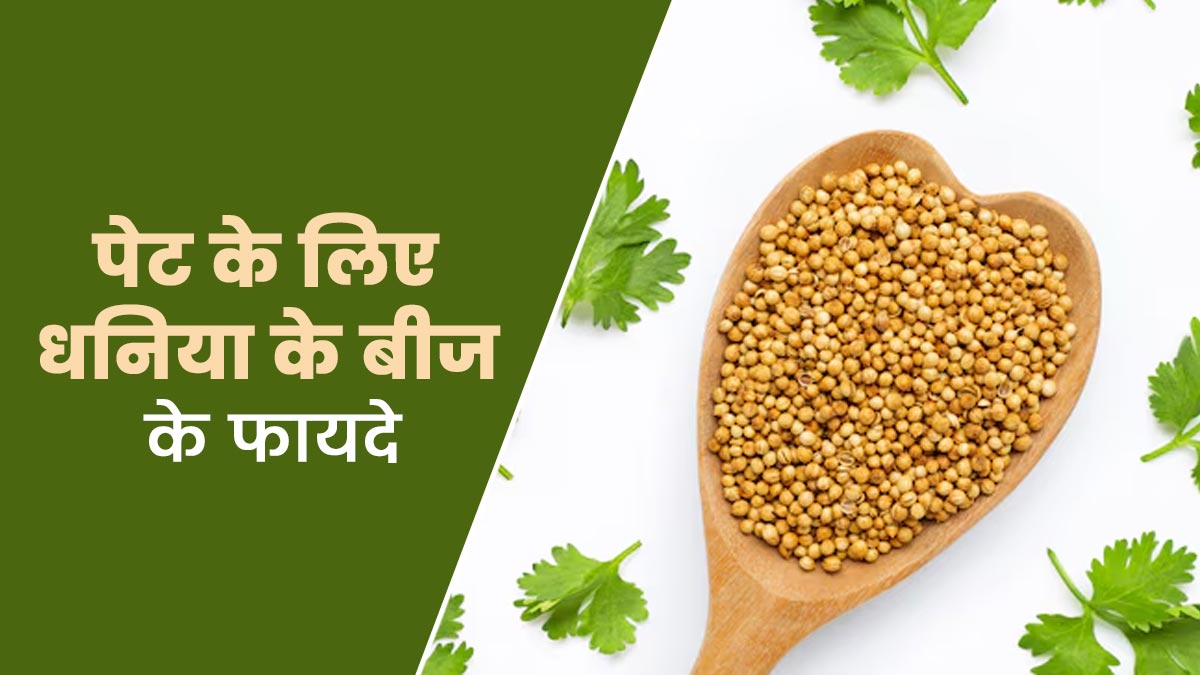 पेट की समस्याओं के लिए धनिया के बीज के फायदे और प्रयोग का तरीका, एक्सपर्ट से जानें