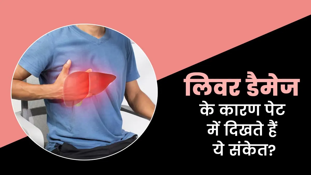 लिवर डैमेज होने के संकेत हैं पेट से जुड़े ये लक्षण, एक्सपर्ट से जानें और रहें सतर्क

