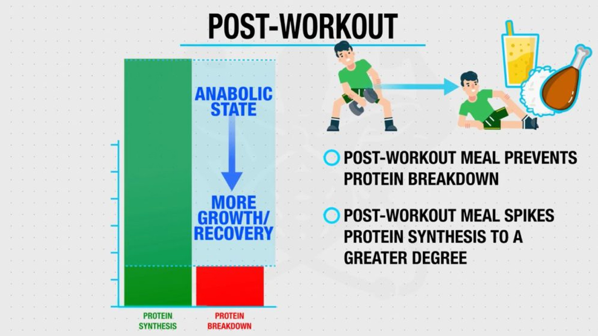 anabolic-window-for-weight-loss