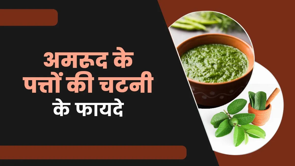 खाएं अमरूद के पत्तों से बनी चटनी, एक्सपर्ट से जानें सेहत के लिए क्यों है ये लाभकारी
