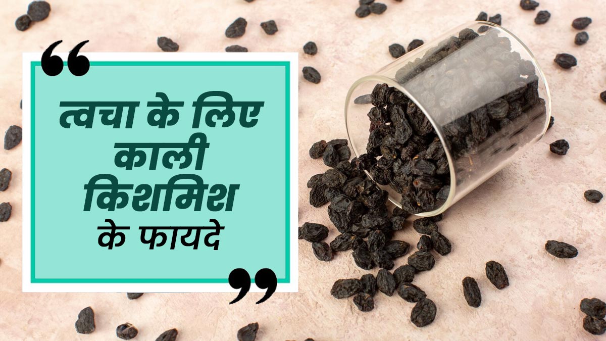 काली किशमिश खाने के त्वचा को मिलते हैं ये 5 फायदे, जानें इनके बारे में