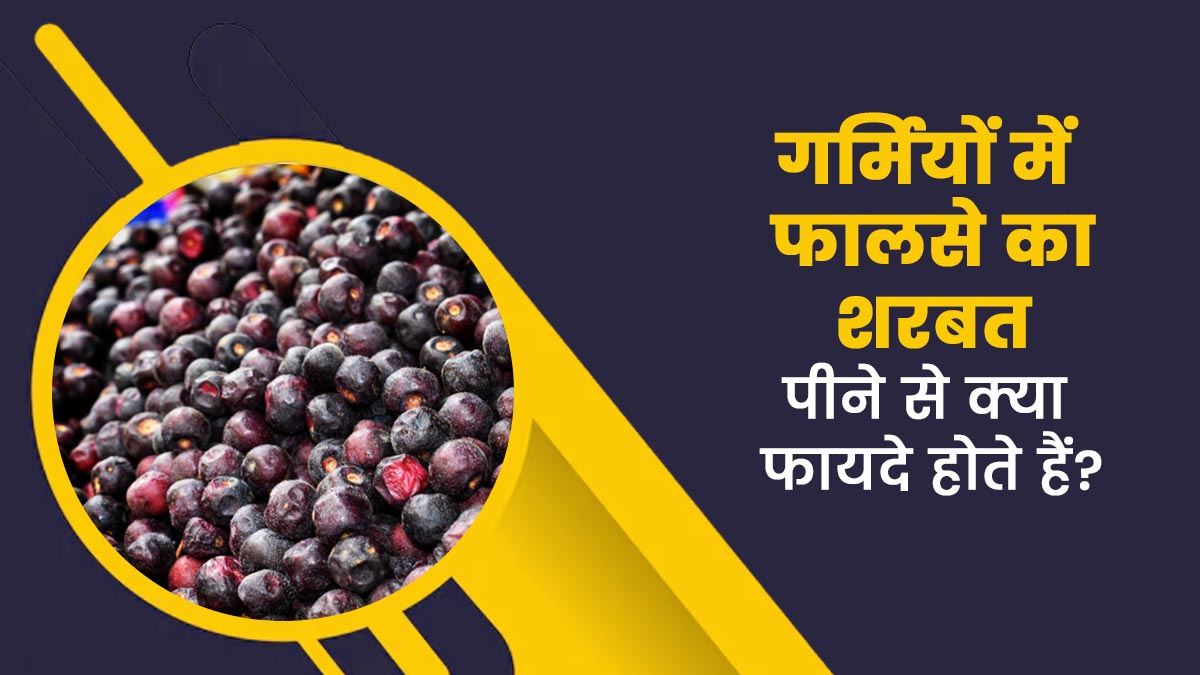 गर्मियों में फालसे का शरबत पीने से क्या फायदे होते हैं? एक्सपर्ट से जानें