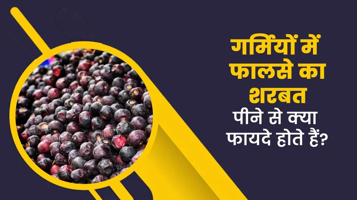 गर्मियों में फालसे का शरबत पीने से क्या फायदे होते हैं? एक्सपर्ट से जानें