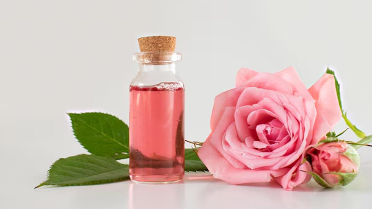 01 - 2025-05-24T155428.738