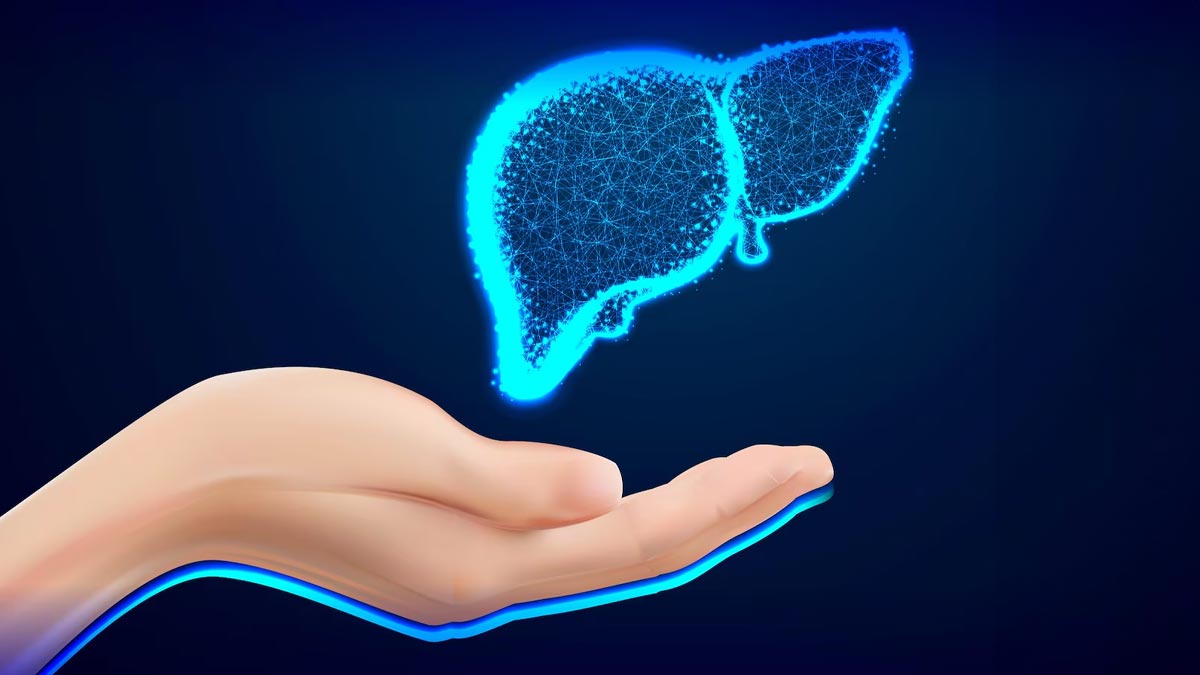 What Happens When Liver Enzymes Are Elevated 01 (3)