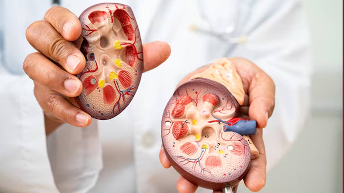 why are so many young people getting kidney stones in hindi 01 (3)