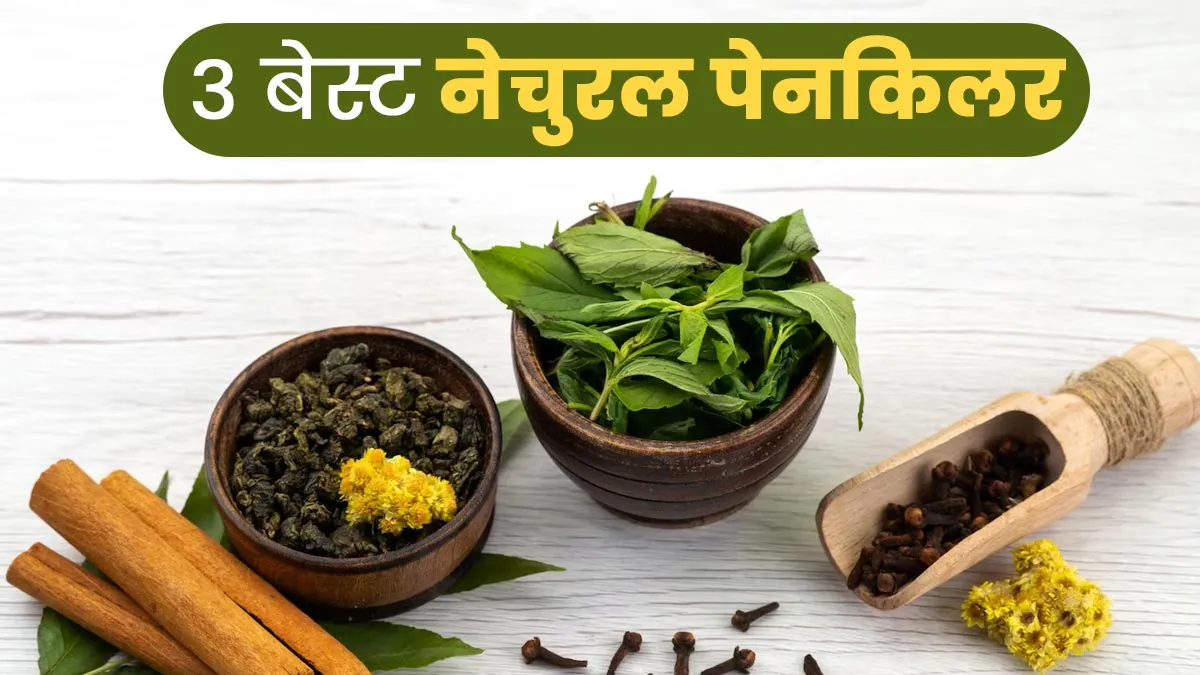 दर्द में राहत के लिए ये 3 आयुर्वेदिक चीजें हैं बेस्ट नेचुरल पेनकिलर, जानें डॉक्टर से