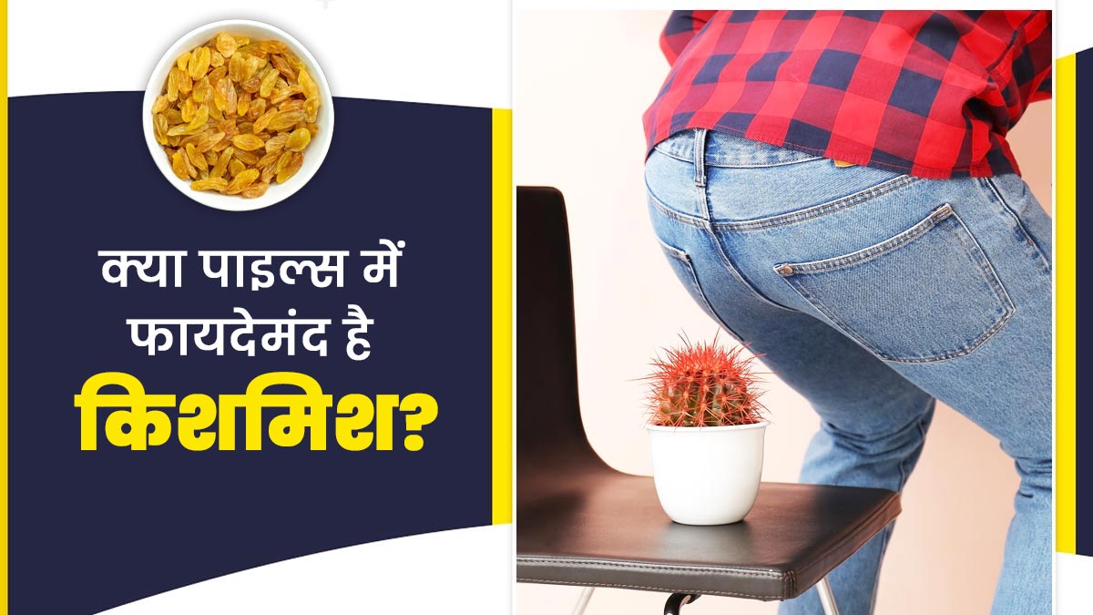 क्या बवासीर में फायदेमंद है किशमिश? आयुर्वेदिक एक्सपर्ट से जानें