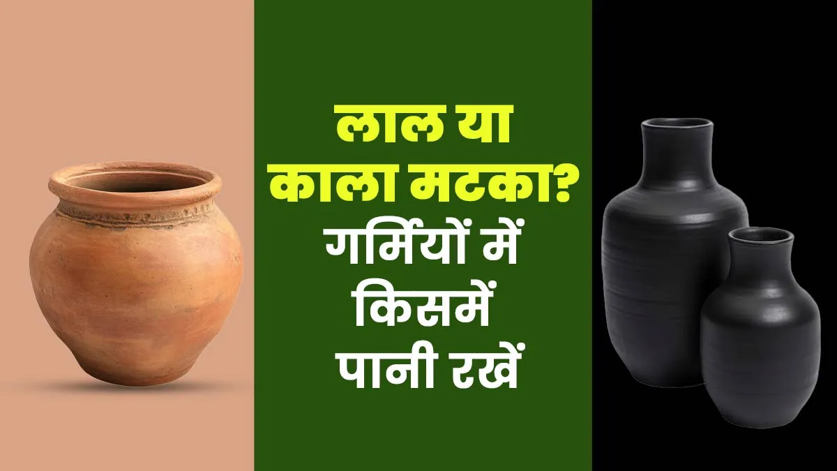 लाल या काला मटका? गर्मियों में किसमें पानी रखना ज्यादा फायदेमंद होता है