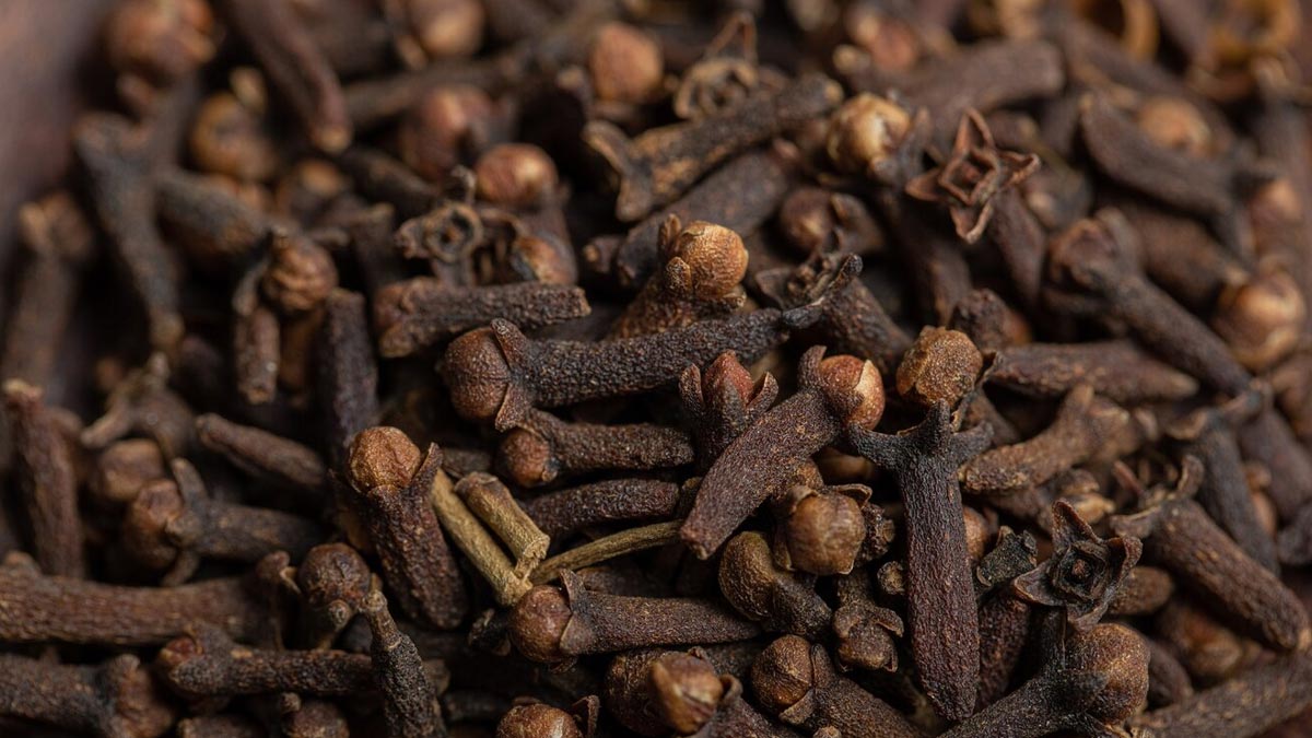 Which herb is a pain killer