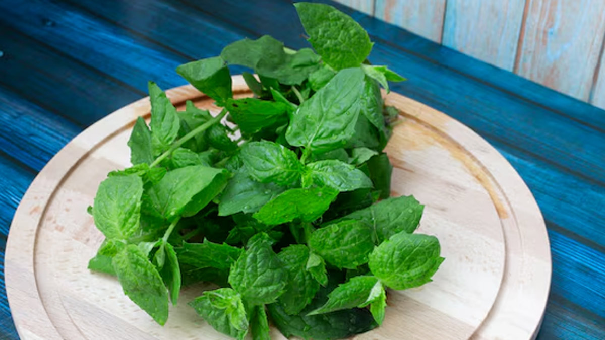 stomach-problems-mint-leaves-use