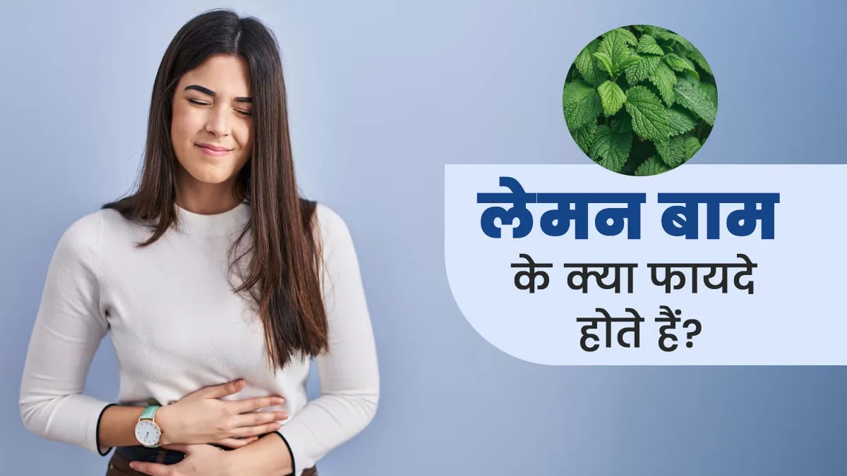 इनसोम्निया और अपच को दूर करता है लेमन बाम, आयुर्वेदाचार्य से जानें इसके फायदे