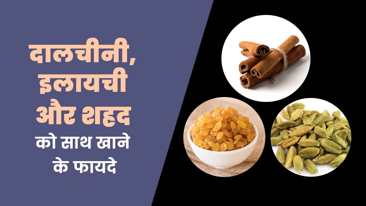 दालचीनी, इलायची और शहद खाने के फायदे, एक्सपर्ट से जानें

